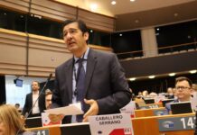 El Gobierno de Castilla-La Mancha defiende ante Europa políticas para garantizar la rentabilidad y competitividad del sector agrícola