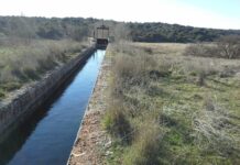 Canales sin parapetar de las derrumbadas centrales hidroeléctricas, trampa mortal para «todo bicho viviente»