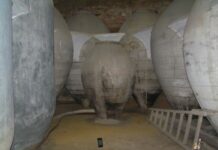 Las cuevas de Tomelloso: «Un orgulloso patrimonio de esfuerzo y sacrificio humano (XXIII)»