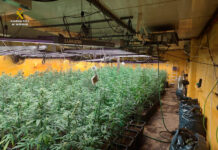 Detenidas dos personas por delitos contra la salud pública