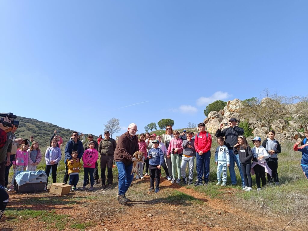 Devueltas a su medio natural cuatro aves recuperadas en el Centro ‘El Chaparillo’ de Ciudad Real 