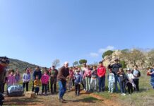 Devueltas a su medio natural cuatro aves recuperadas en el Centro ‘El Chaparillo’ de Ciudad Real
