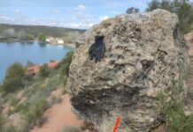 Enorme peñasco desunido en el “Cerro de las canteras”, en la vertiente que da a la “Laguna del Rey”
