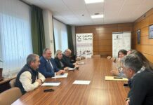 La IGP Espárrago Verde de Guadalajara recibirá un reconocimiento en los Premios Gran Selección Campo y Alma