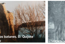 Humanos, árboles, vegetación… (IV)