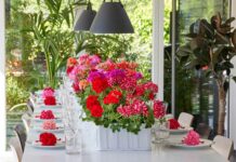 Las ideas decorativas con geranios en tendencia que triunfarán en las mesas de boda castellanomanchegas de 2025