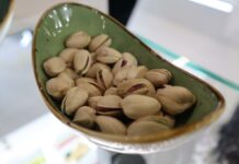 El IRIAF participa en la secuenciación del genoma de referencia de la variedad de pistacho Kerman, la más cultivada del mundo