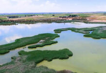 La Comunidad de Regantes Mancha Occidental II presenta su candidatura a los ‘Premios Luz Verde’, convocados por Onda Cero y WWF