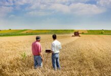 Publicada la orden de módulos con importantes reducciones en el IRPF 2024 para 93.100 agricultores y ganaderos en Castilla-La Mancha