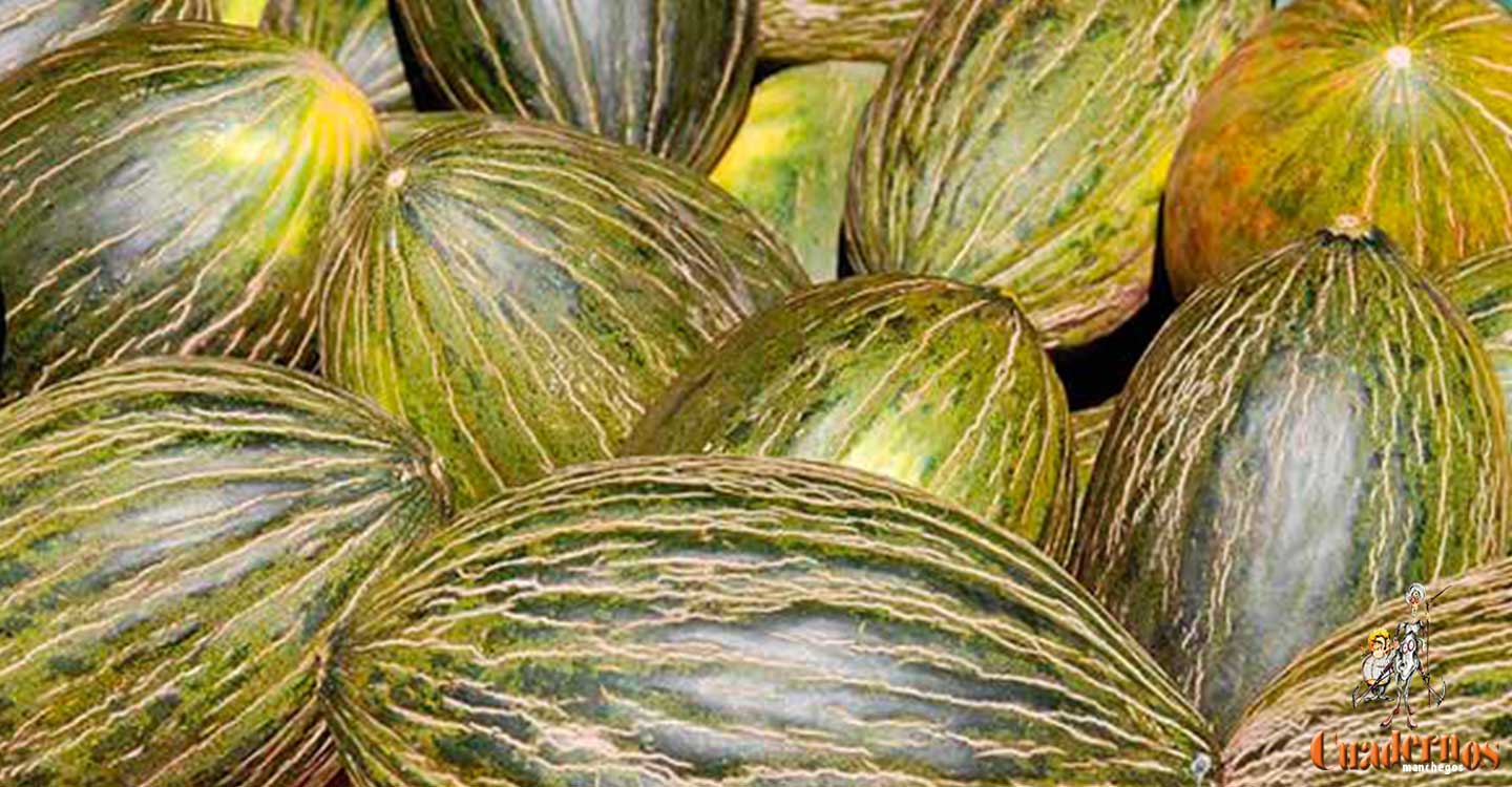 Auguran un incremento de hectáreas de plantaciones de sandía y un descenso de melón en La Mancha