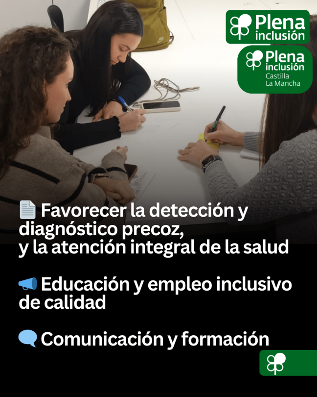 plenainclusionautismo 2.jpg
