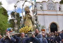«El PSOE malinterpreta la ley e insulta acorralado por su ineficacia cuando gobernaba»