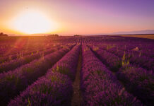 El tiempo en Castilla-La Mancha para hoy 8 de abril del 2025