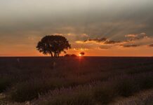 El tiempo en Castilla-La Mancha para hoy 21 de abril del 2025