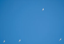 El tiempo en Castilla-La Mancha para hoy 23 de abril del 2025