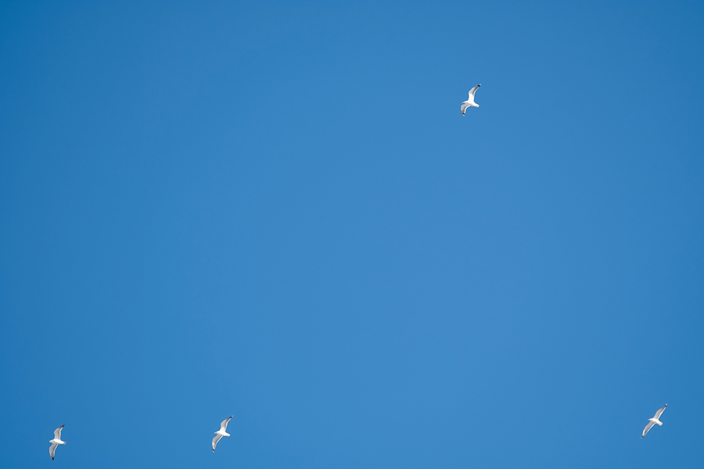 El tiempo en Castilla-La Mancha para hoy 23 de abril del 2025