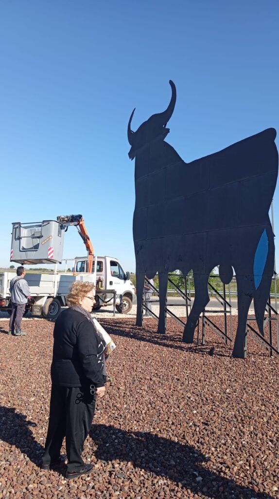 toroosborne panuelo romeria tomelloso 2025 15