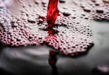 Unión de Uniones considera insuficientes las medidas que tiene previsto adoptar la Comisión Europea referidas al paquete vitivinícola