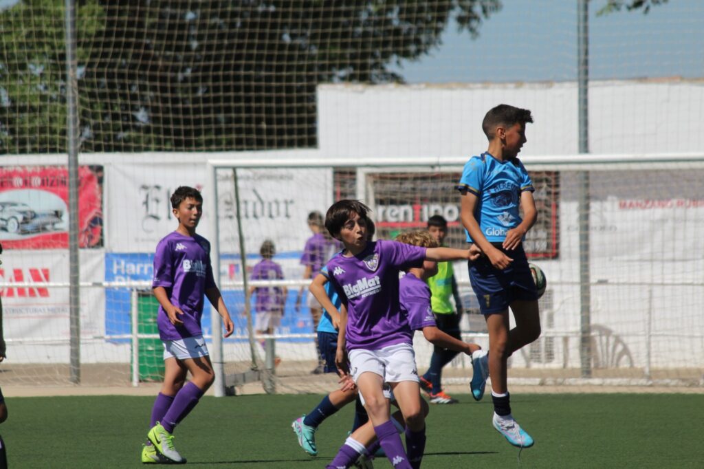 argamasilladealbainterescuelas 2