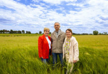 Argamasilla de Alba se prepara para celebrar San Isidro 2025 con una programación cargada de tradición y participación