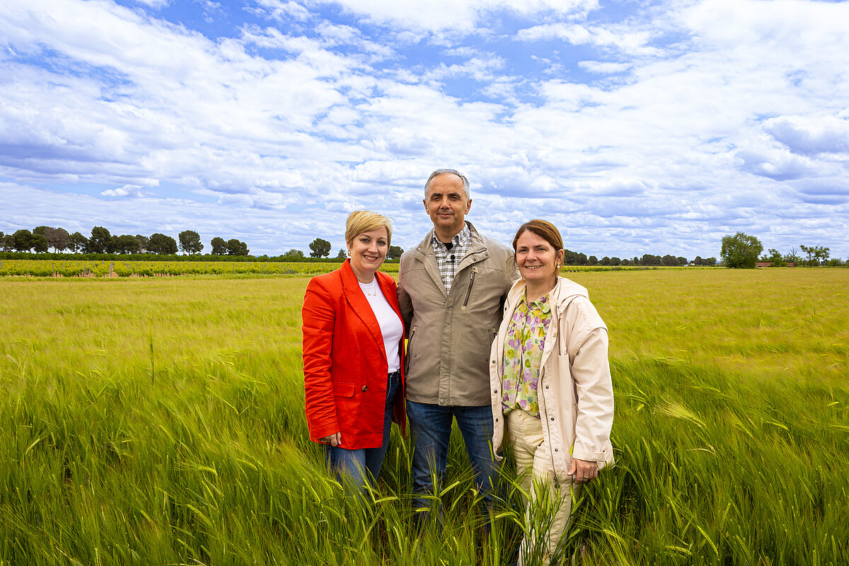 Argamasilla de Alba se prepara para celebrar San Isidro 2025 con una programación cargada de tradición y participación
