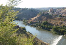 ASAJA Castilla-La Mancha reclama: «Ni una cesión más en materia de agua»