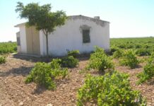 ASAJA Ciudad Real suspende temporalmente la negociación del convenio colectivo del campo