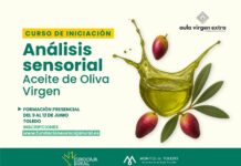 Aula Virgen Extra lanza una nueva edición del curso de iniciación al Análisis Sensorial de Aceite de Oliva Virgen