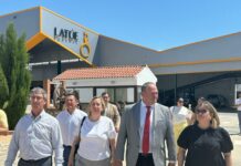 El Gobierno de Castilla-La Mancha ha abonado en esta campaña casi 20 millones de euros para reestructurar 4.000 hectáreas de viñedo