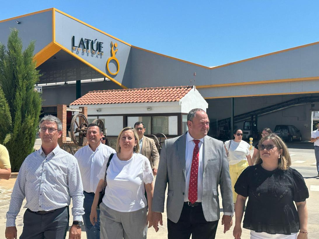 El Gobierno de Castilla-La Mancha ha abonado en esta campaña casi 20 millones de euros para reestructurar 4.000 hectáreas de viñedo