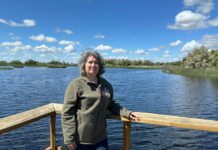 Publicadas unas nuevas ayudas por valor de 600.000 euros para dinamizar la gestión forestal conjunta en los montes públicos de las entidades locales