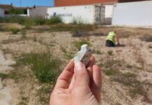 Se retoman las campañas de investigación en la tumba de los gigantes