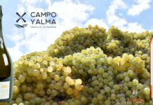 La Cooperativa Virgen de las Viñas muestra su potencial recibiendo varios galardones en los Premios Gran Selección Campo y Alma