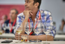 FENAVIN albergará dos jornadas técnicas centradas en la excelencia y singularidad de los Vinos de Pago