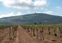 La Confederación Hidrográfica del Guadiana modifica el Régimen de Extracciones para la campaña del 2025 de las masas de agua subterránea Lillo-Quintanar, Consuegra-Villacañas y CampodeMontiel
