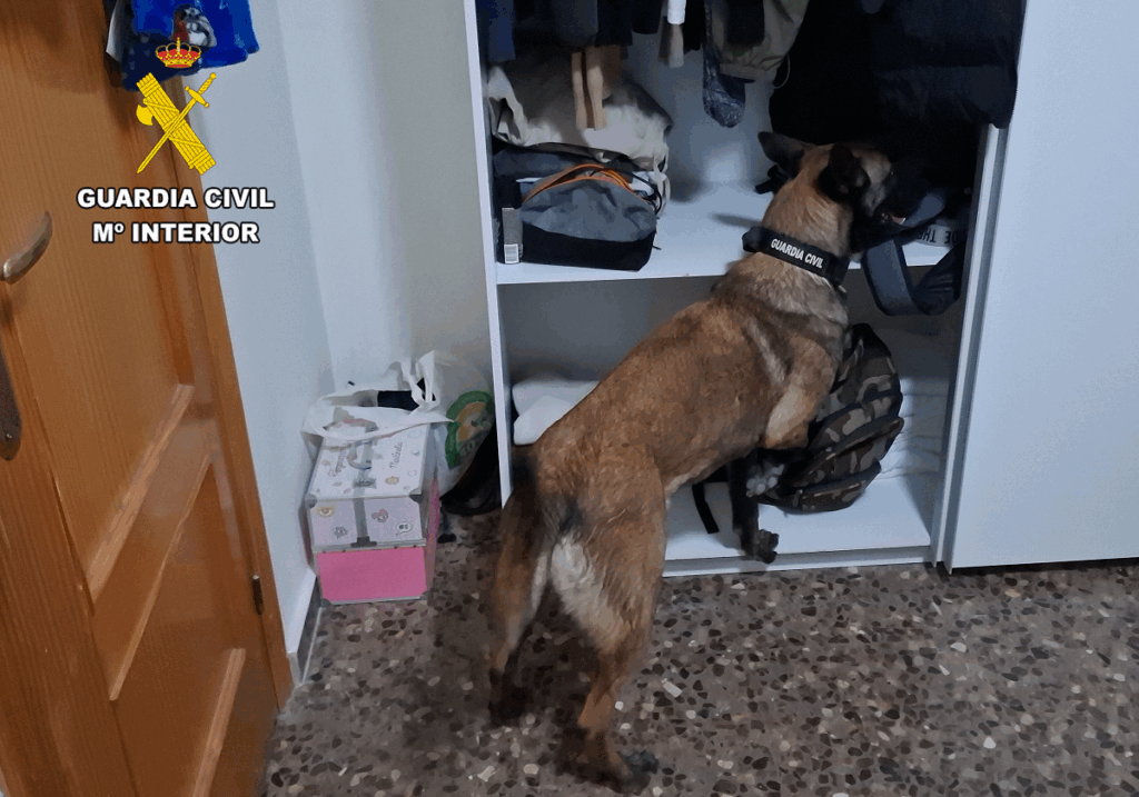 La Guardia Civil de Albacete logra desarticular un grupo criminal especializado en la comisión de robos con violencia en domicilios habitados 7 desarticulaciongrupocriminal 2