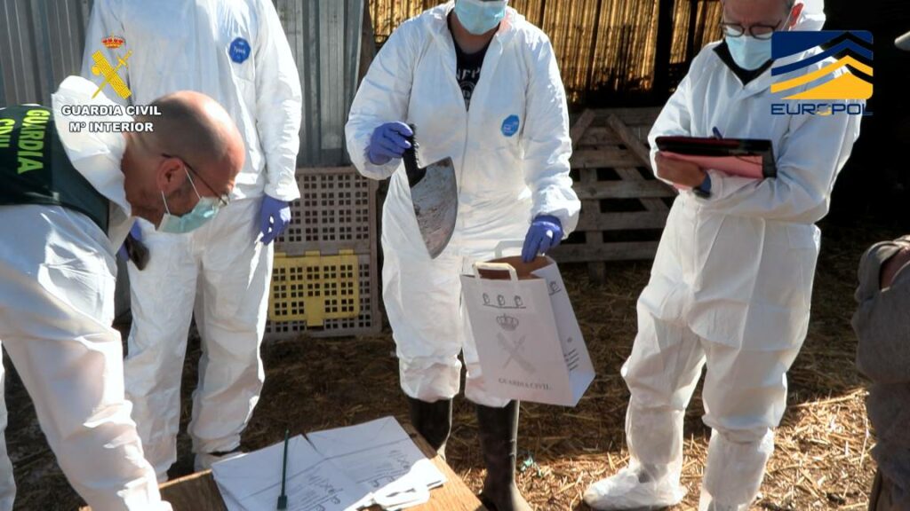 desmantelada comercializacion ilegal productos carnicos 2