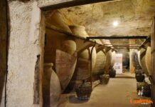 Las cuevas de Tomelloso protagonistas de la revista Pámpanas en su 27ª edición