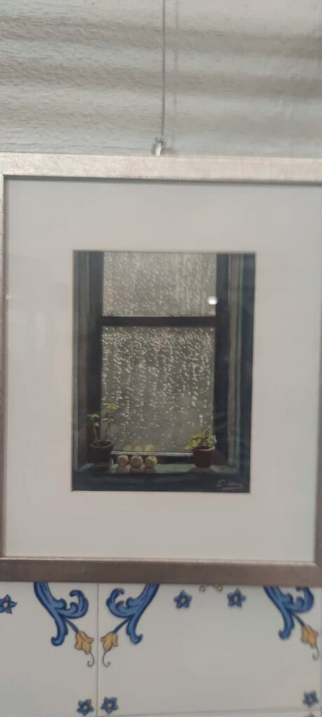 exposicionamigos de la acuarela 5