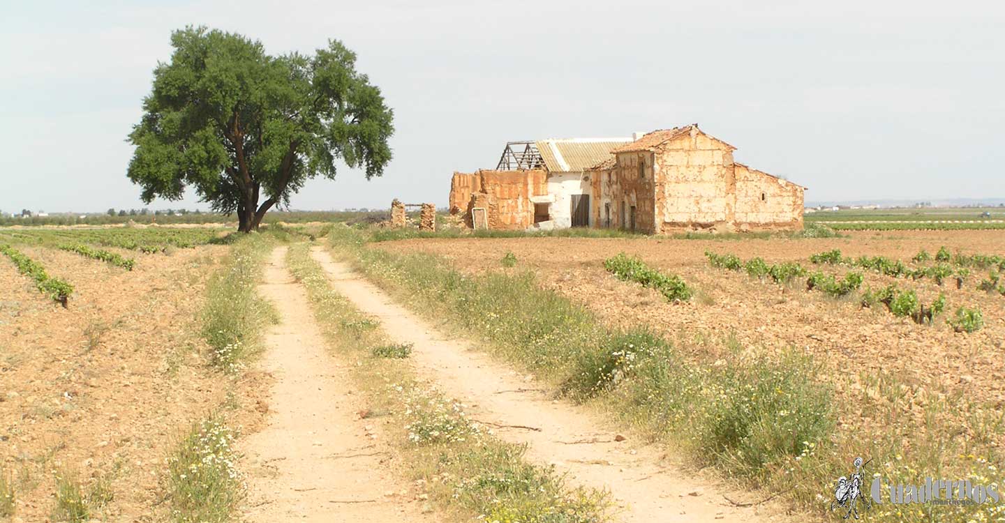 El Gobierno destina 9,9 millones de euros a Castilla-La Mancha para financiar intervenciones de desarrollo rural