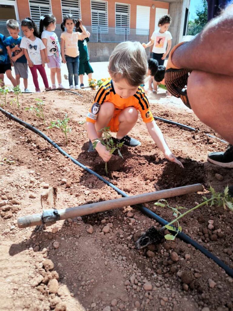 huerto san jose de calasanz 2