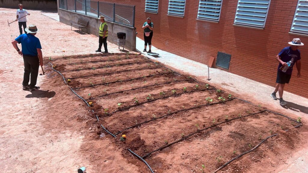 huerto san jose de calasanz 4