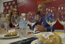 Las cuevas de Tomelloso despiertan el interés en FENAVIN