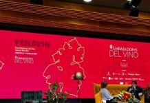 Manuel Rayo moderará una charla en FENAVIN sobre el vino, las consecuencias cardiovasculares y neurológicas y sus nuevas evidencias