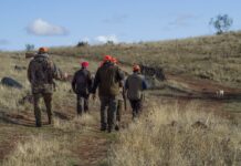 Publicada la nueva orden de vedas que fija los periodos hábiles de caza y vedas para la temporada cinegética 2025-2026 en Castilla-La Mancha