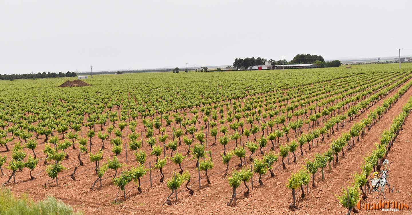 Los agricultores y ganaderos podrán presentar la solicitud única de las ayudas de la Política Agraria Común hasta el 31 de mayo