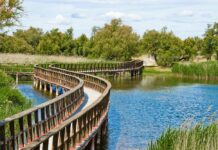 Ecologistas en Acción, SEO/BirdLife y WWF reclaman una solución estructural y urgente al deterioro del Parque Nacional de las Tablas de Daimiel