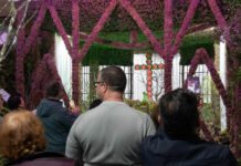 Piedrabuena cierra unas Cruces y Mayos de récord con más de 15.000 visitantes y un impacto cultural y turístico en auge