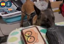 La Policía Nacional libera a 23 víctimas que eran explotadas laboralmente en establecimientos de manicura