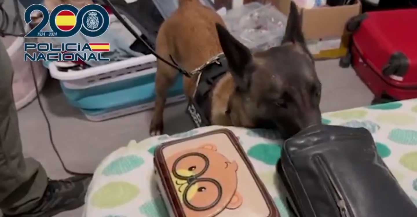 La Policía Nacional libera a 23 víctimas que eran explotadas laboralmente en establecimientos de manicura